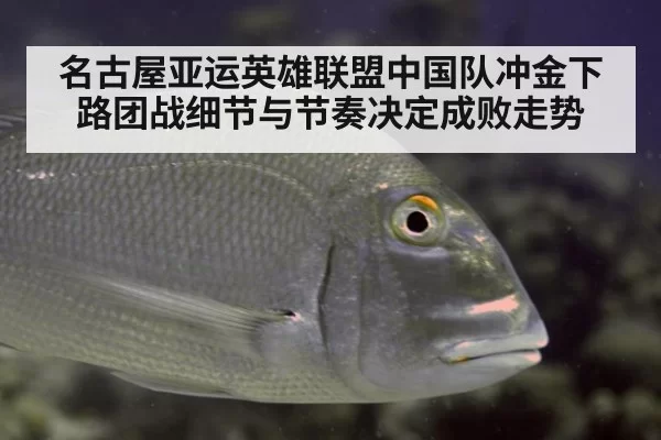 名古屋亚运英雄联盟中国队冲金下路团战细节与节奏决定成败走势